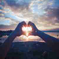 vue插​件﻿使​用﻿